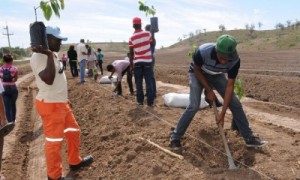 Gobierno lanza proyecto agrícola para jóvenes