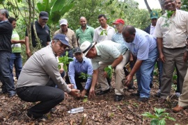 Instituciones reforestarán 67 mil tareas en Loma de Blanco con 14 millones de plantas