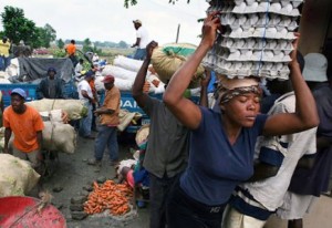 pollos-y-huevos-en-la-frontera