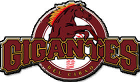 Los Gigantes del Cibao liberan a 15 jugadores