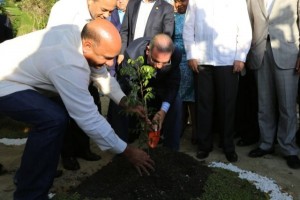 Medio Ambiente garantiza plantas a carbón se construirán con impacto ambiental mínimo
