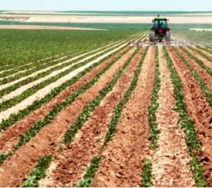 Agropecuaria_en_RD