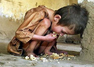 FAO dice desnutrición infantil disminuye en un 50% en el país