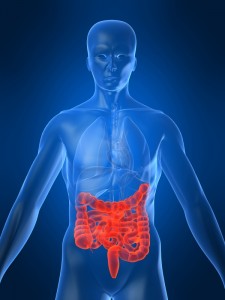 Cáncer de colon y hepatitis B son los principales problemas gastroenterológicos de RD