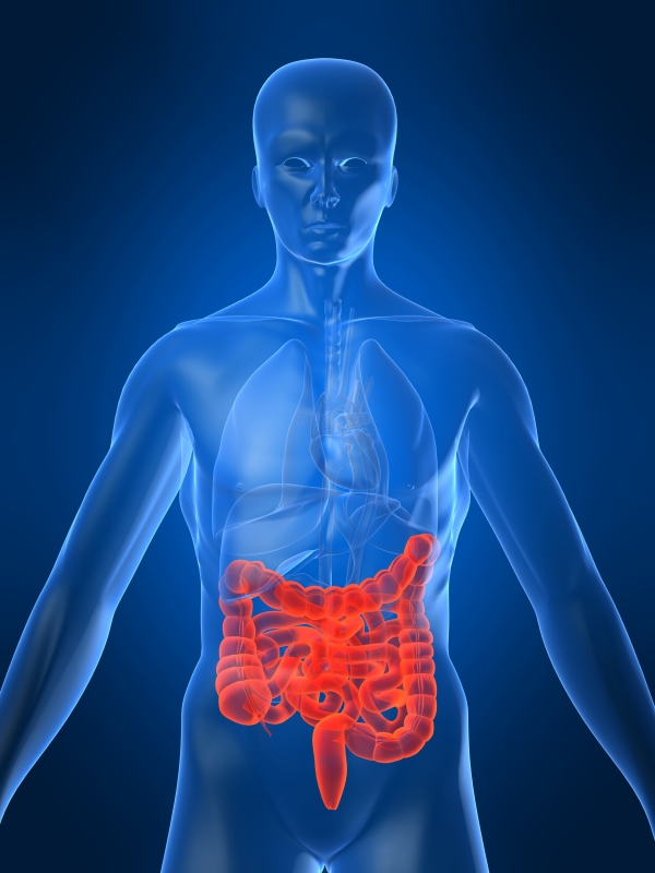 Cáncer de colon y hepatitis B son los principales problemas gastroenterológicos de RD