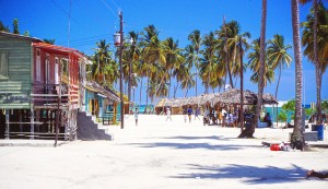 MA anuncia puesta en operaciones de una Mini Central en isla Saona