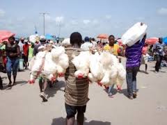 Ministro anuncia reinicio de exportación de pollos y huevos hacia Haití