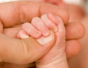 las-manos-de-los-bebes1-500x388