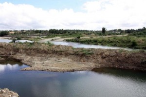 MA afirma enfrentará a los depredadores criminales de la naturaleza