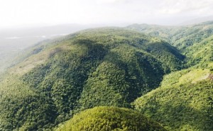 TSA prohíbe temporalmente la explotación Loma Miranda