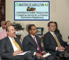 Agricultura anuncia programa para el fomento del cultivo de la Pitahaya