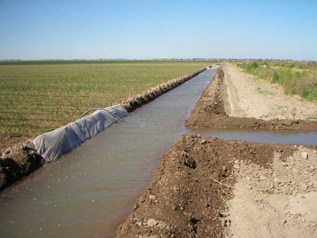 Policía captura mujer acusada de lanzar a su bebé en una canal de riego