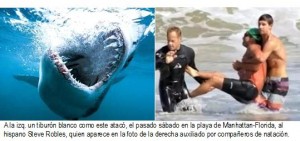 Tiburón ataca