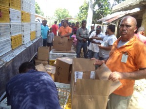 entrega 3