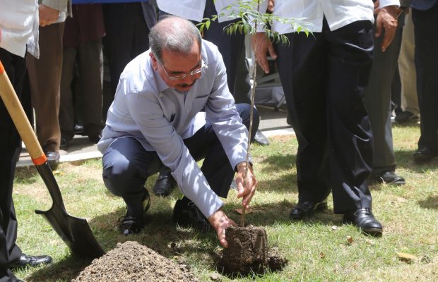 Presidente Medina Medina siembra árbol de caoba en homenaje a Juan Bosch
