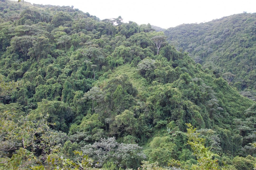 Sindicatos piden a Danilo no promulgar ley convierte a Loma Miranda en Parque Nacional