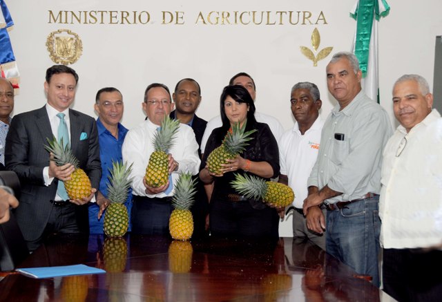 Presentarán primera producción de hijuelos de piña importados con financiamiento del Gobierno