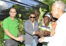 EGEHID entrega 115 mil plantas de café y cacao a productores de Villa Altagracia