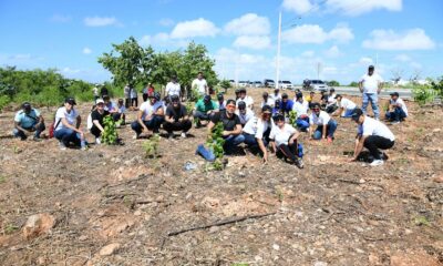 Claboradores de la Oficina Nacional de Derecho de Autor (ONDA) siembran arboles en la avenida Ecológica de Santo Domingo Este.