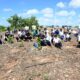 Claboradores de la Oficina Nacional de Derecho de Autor (ONDA) siembran arboles en la avenida Ecológica de Santo Domingo Este.