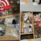 Drogas encontradas por la Policía en la guardería.