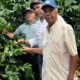 José A. Tejeda, presidente del Consejo de Apoyo a Jarabacoa, junto a técnicosen la inspección de los cafetales